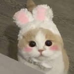 Esteban Cabrera Avatar